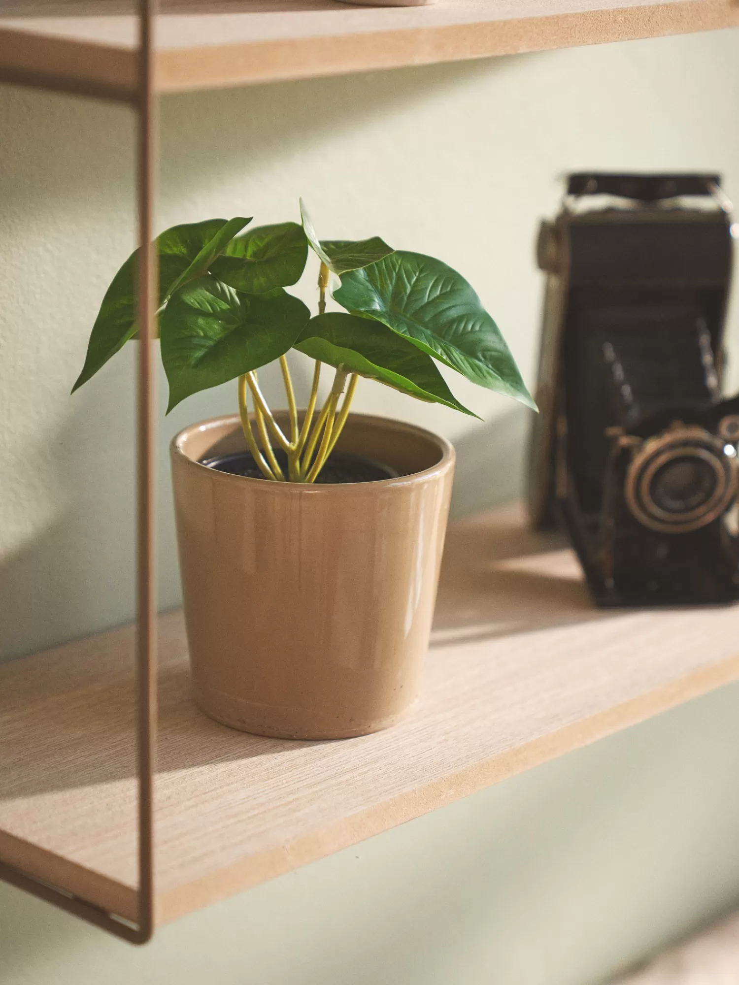 Kunstig Blomst I Potte*Søstrene Grene Best Sale