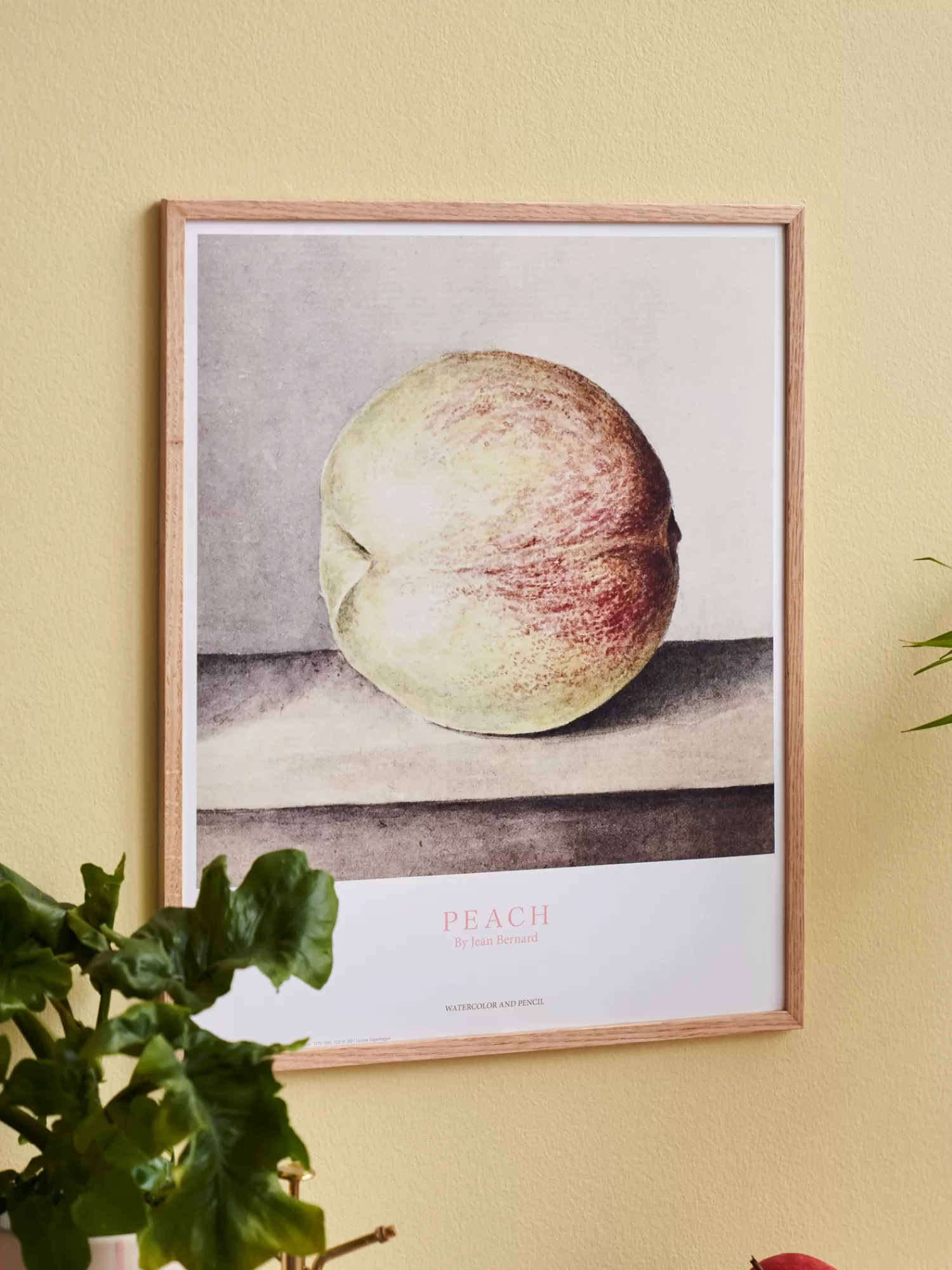 Plakat Peach 40 X 50 Cm*Søstrene Grene Outlet