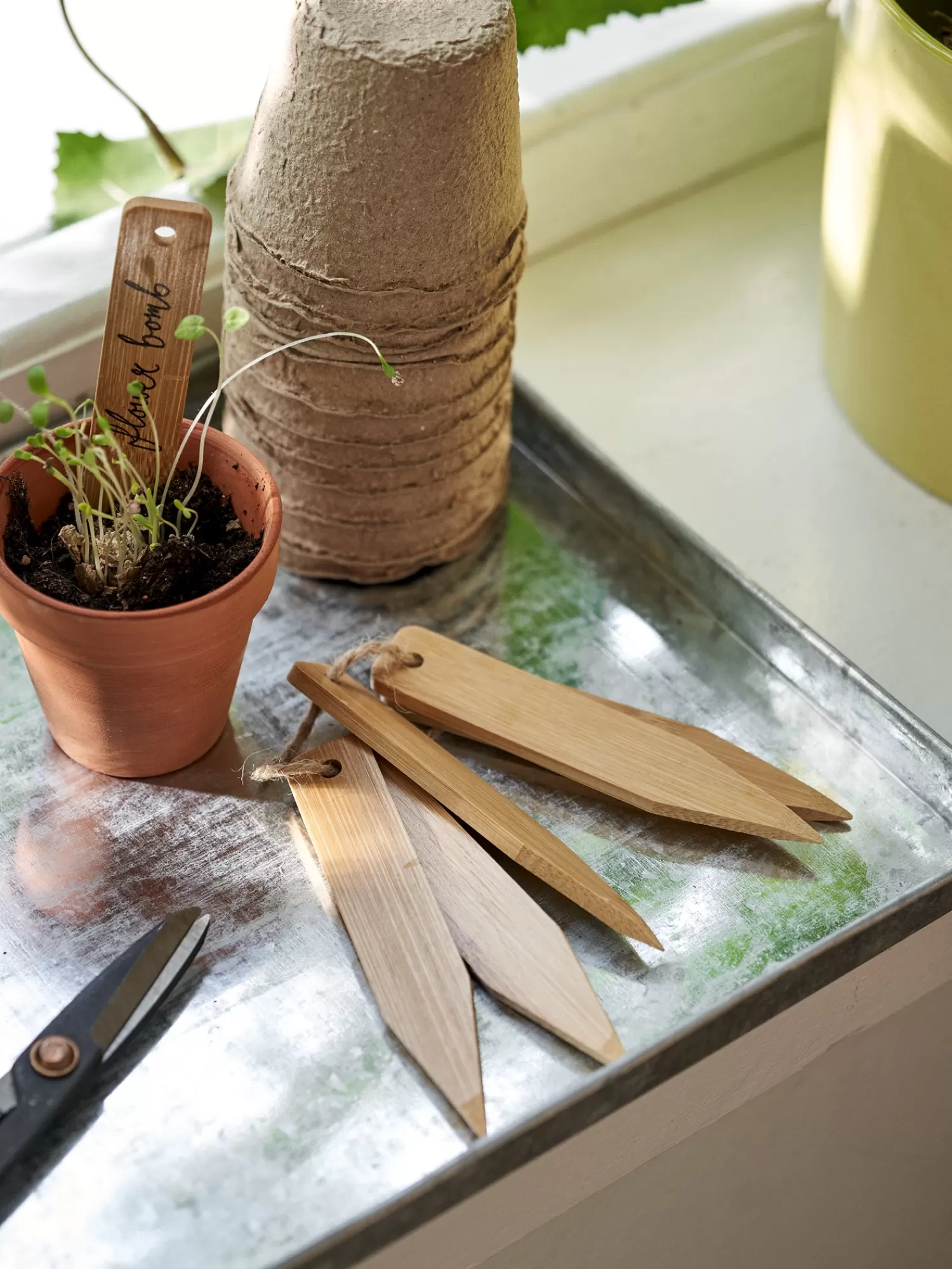 Plantemarkører*Søstrene Grene Online