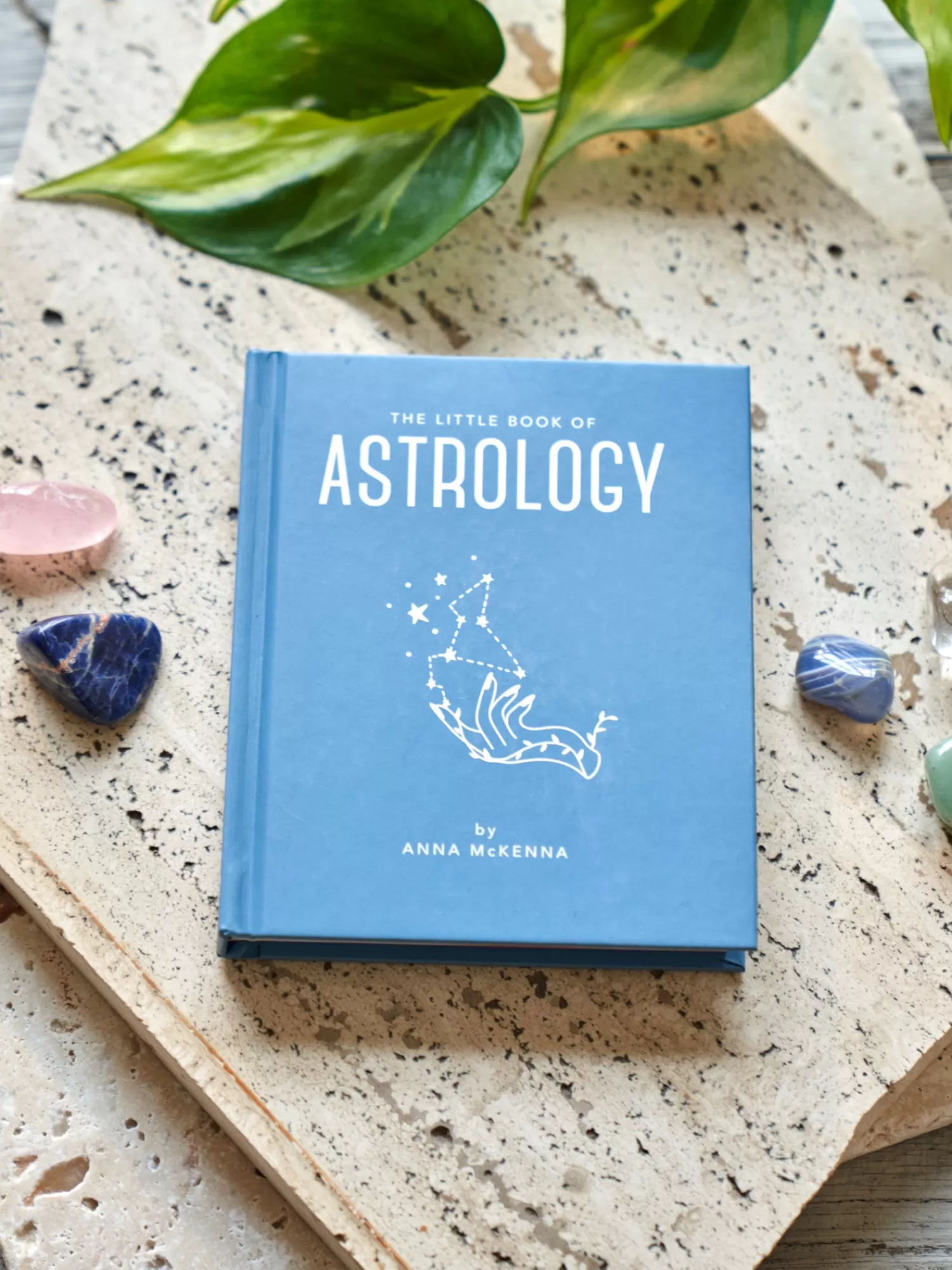 The Little Book Of Astrology*Søstrene Grene Hot